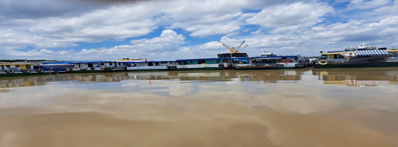 Nam Viet Logistics barge fleet operating on inland river routes