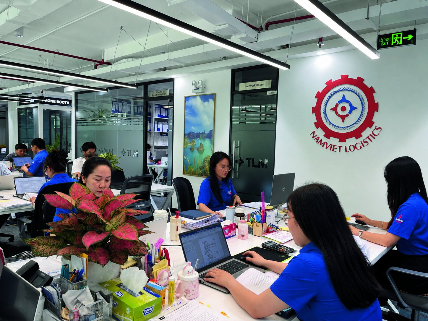 Đội ngũ Nam Việt Logistics làm việc tại văn phòng