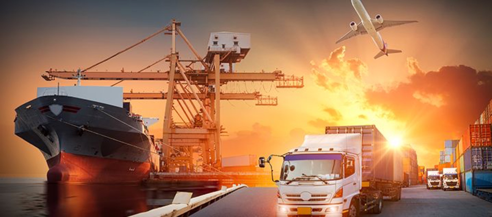 Nam Viet Logistics transport services